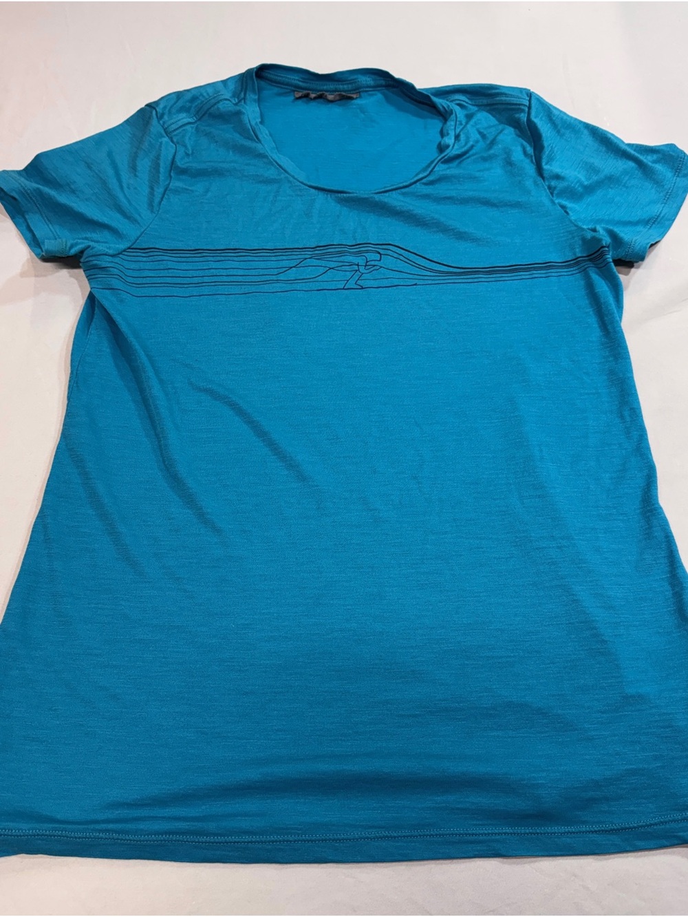Icebreaker Women Tech Lite SS Low Snow Speedster Shirt Medium Arctic Teal